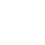 Pájaro