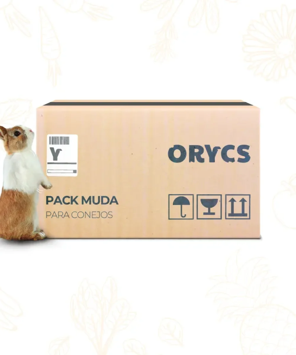 Pack Mue pour Lapins