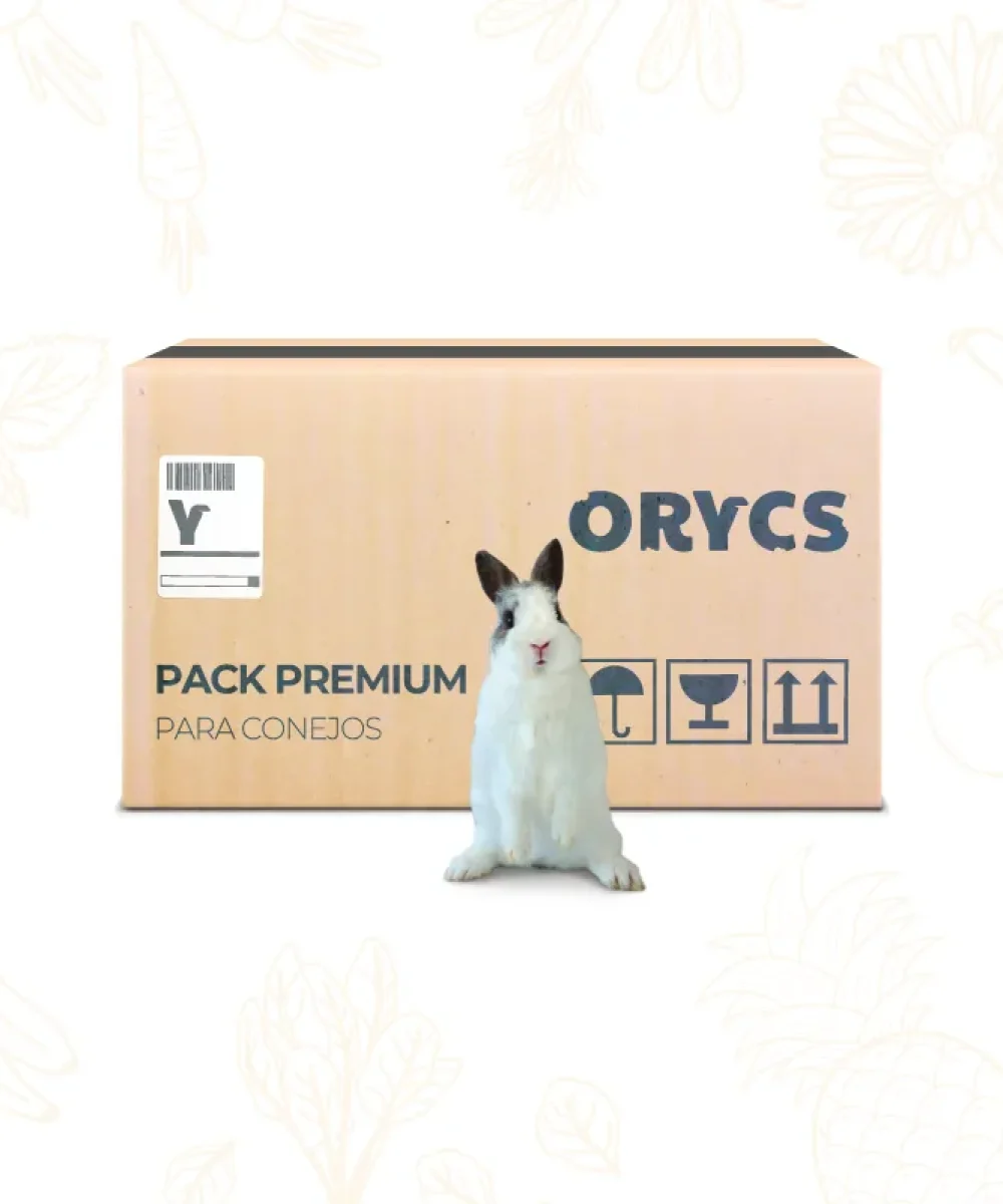 Pack Premium pour Lapins