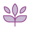 Renal Care