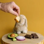 Alimentos prohibidos